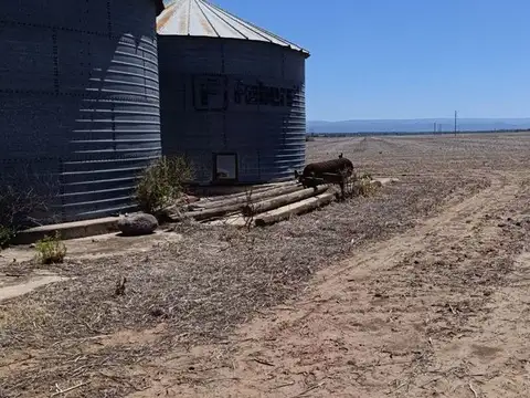 VENTA CAMPO 85 HECTAREAS RUTA N 36  ZONA BOWER