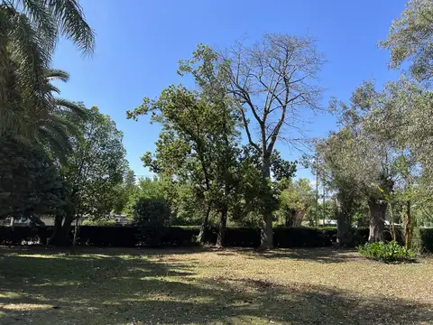 Terreno en Venta 30  mts Fondo