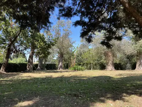 Leopoldo Lugones  al 2600