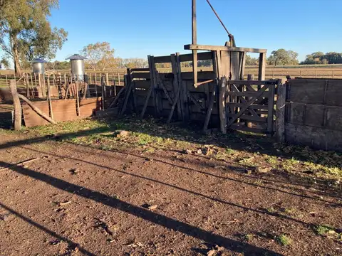Las Flores, sobre Ruta Prov. N°30 y a 20 Km de ciudad