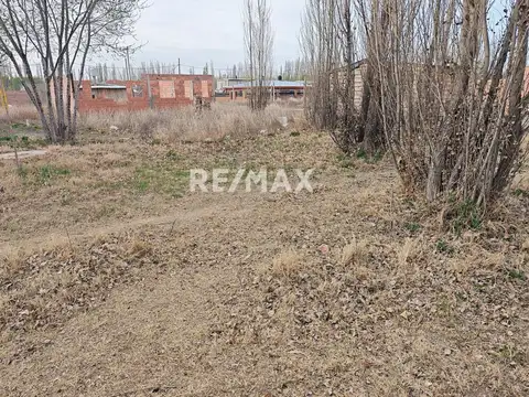 Terreno en Venta en Cipolletti, USD 8.100