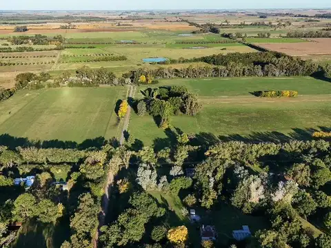 Espléndido terreno con bosque en La Araucaria| Salvador María|Lobos que re robará en corazón