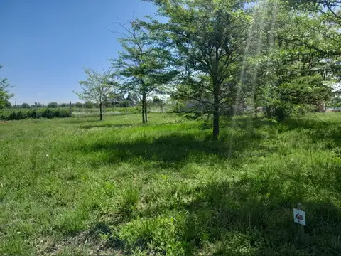 Venta de Lote Las ACACIAS