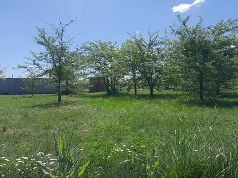 Terreno en Venta de 1,0 m2