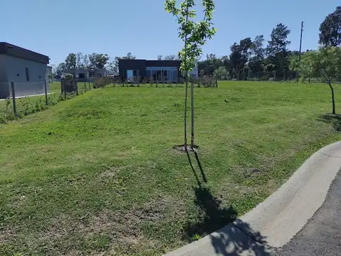 Almte. Guillermo Brown, Villa Rosa, Provincia de Buenos Aires 100