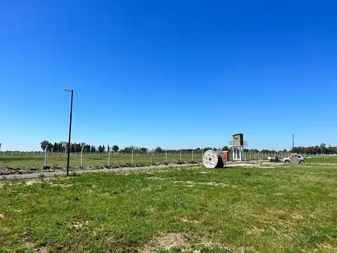 Carlos Espegazini 100