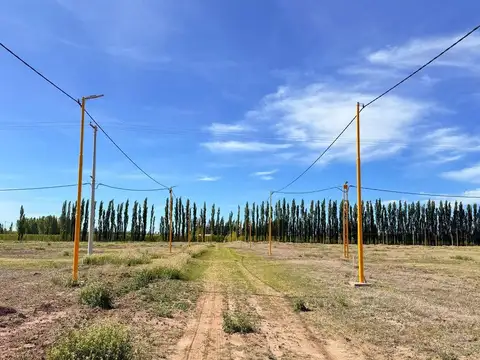 Terreno en Venta de 250,0 m2