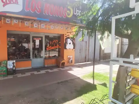 Propiedad compuesta | Casa 2 Dormitorios | Departamento Monoambiente | Local Comercial | Capitán Bermúdez