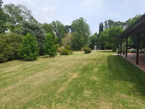 El picaflor entre las torcazas y la golondrina