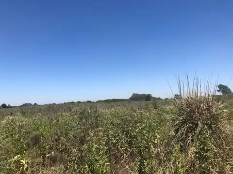 Terreno en Venta de 150000,0 m2