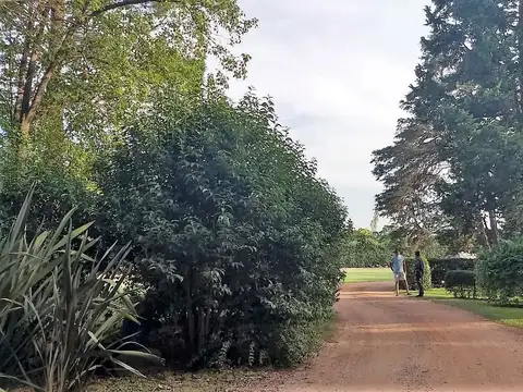 Villa Astolfi - Excelente Terreno con 2 Casas