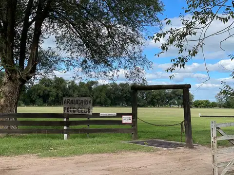 Terreno en Venta 41  mts Frente