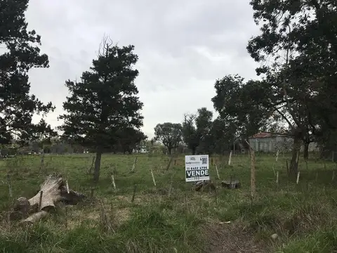 UNICOS - LOTES INDUSTRIALES – INMEJORABLE UBICACION - LUZ TRIFASICA - LOBOS -