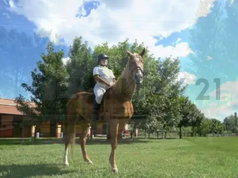 Terreno en Venta de 3060,0 m2