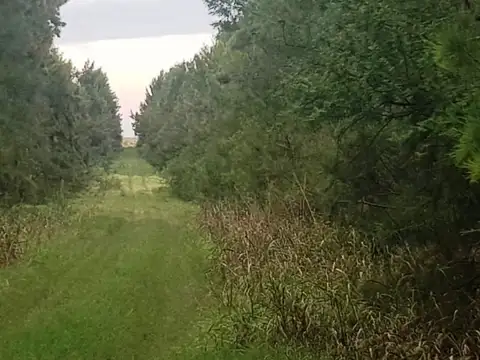 1.000 Has. Campo en Hasenkamp