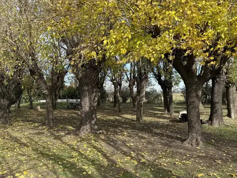 Chacra de 5 Has. en San Andres de Giles