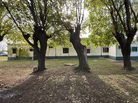 5 Has. Chacra en San Andrés de Giles