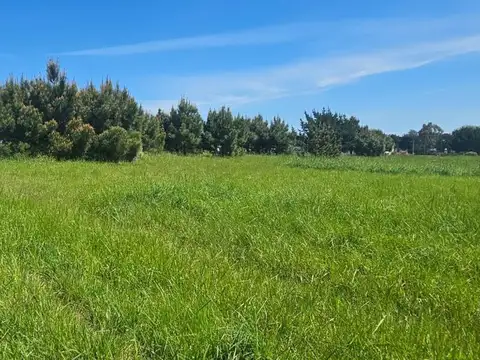 Terreno en Venta de 450,0 m2