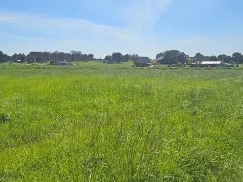 CALLE 15 ENTRE 41 Y 39 BIS 100