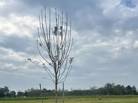 Lote en venta en el barrio El Yacht, Nordelta -Tigre