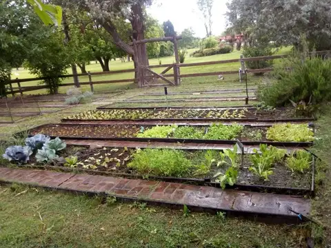 Terreno en Venta en Manzanares, $ 1