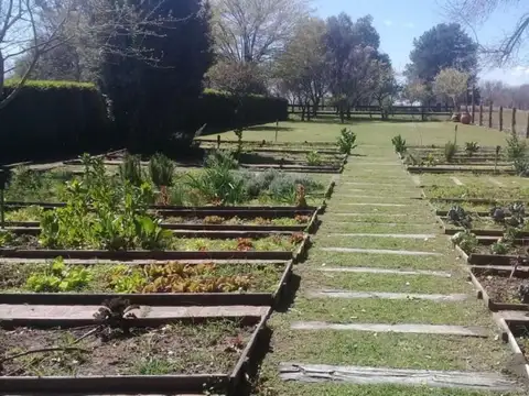 Terreno - Manzanares