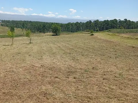 VENTA EXCELENTE TERRENO EN YANCANTO DE CALAMUCHITA