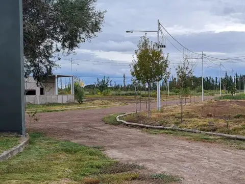 Terreno en Venta en Los Corralitos, USD 9.800