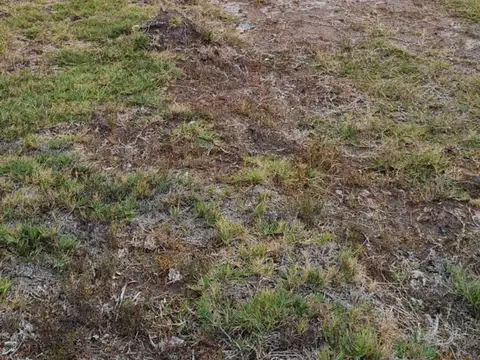 Calle 2 de Mayo 9500