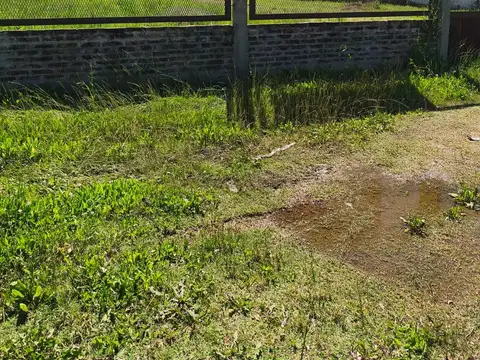 Galpon en Alquiler 71  mts Fondo