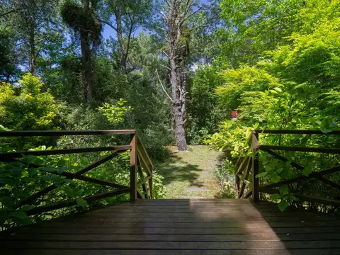 Albatros 647 Mar de las Pampas