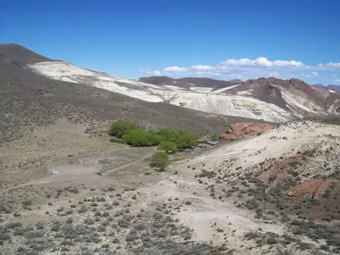 Campo en Venta de 4.600  ha