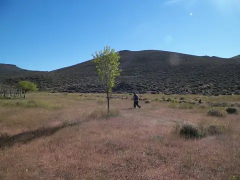 Campos O Chacras Venta Chubut