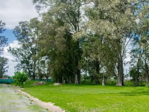 Terreno en Venta 20  mts Fondo