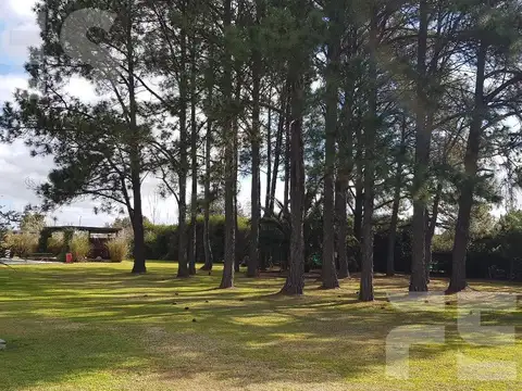 CASA EN VENTA APTO CRÉDITO EN FINCAS DE SAN VICENTE ESPECTACULAR PARQUE CON BOSQUE PROPIO