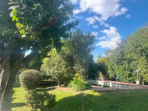 Albert Einstein 5200