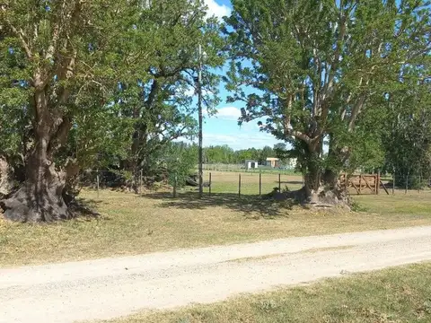 Terreno en Alquiler en Abasto, $ 500.000