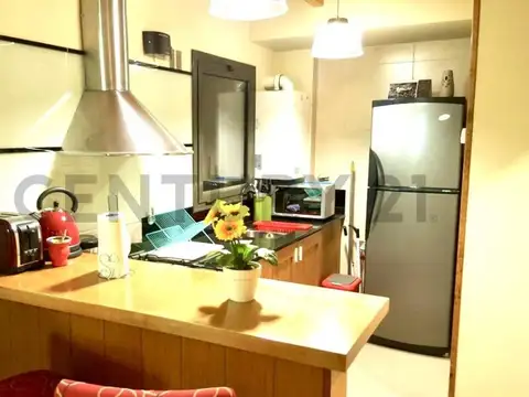 VENTA DEPARTAMENTO SAN MARTIN DE LOS ANDES. BARRIO LA CASCADA