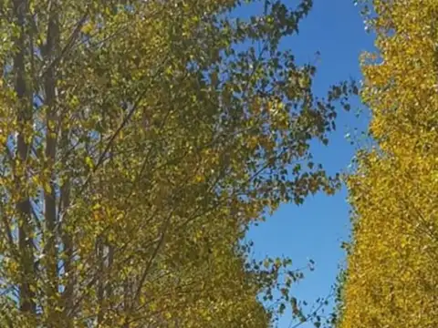 Ruta Nacional 149 km 14