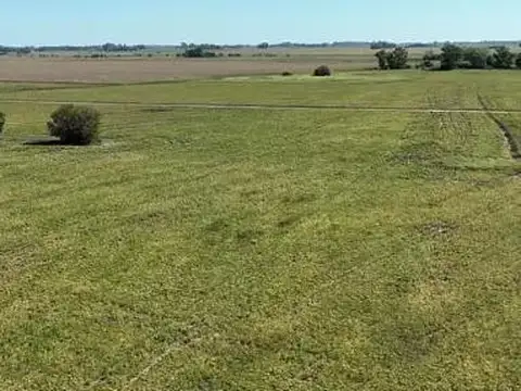 Bernardino Rivadavia - Villa Ruiz