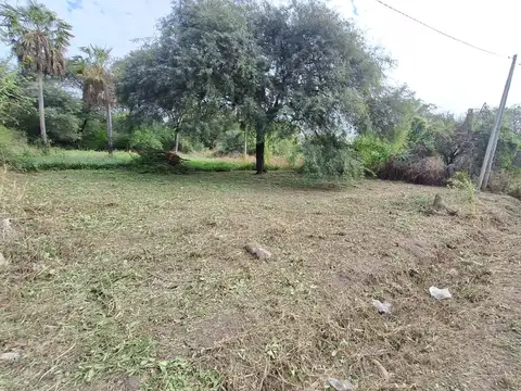 Venta | Terreno 800 m² | Zona CURNE