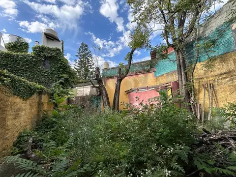 Local en Alquiler 25 años