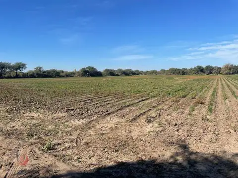 CRUZ DEL EJE- CAMPO EN VENTA- EN ZONA DE PALO PARADO-