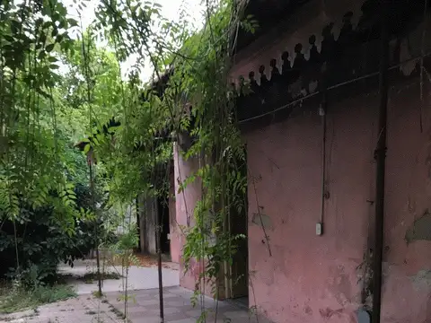 Terreno en Venta 8  mts Frente