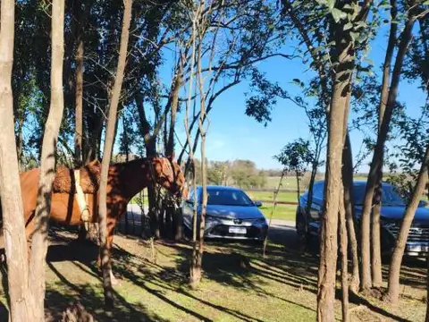 Terreno en  Chacras de Zelaya, Pilar