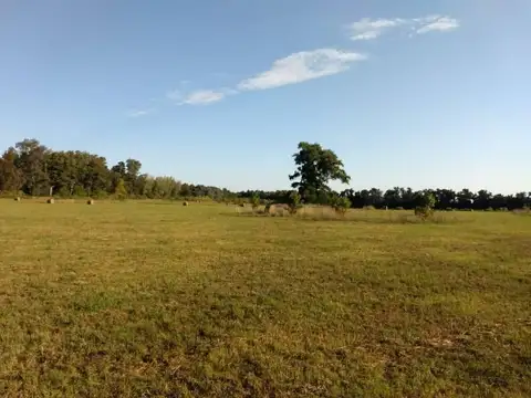 Venta campo 17 hectareas - Open door GBA Oeste