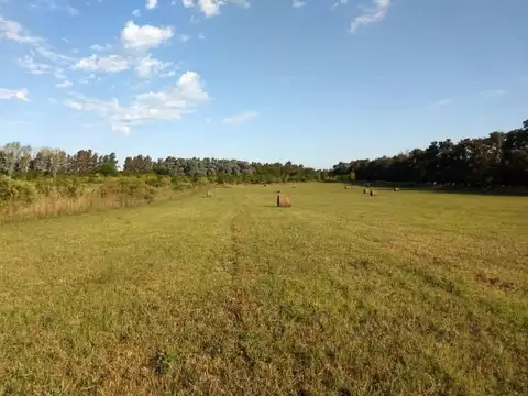 Venta campo 17 hectareas - Open door GBA Oeste