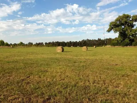 Campo en Venta de 17 hectareas en Open Door, Lujan GBA Oeste