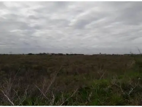 Campo en Venta de 160  ha