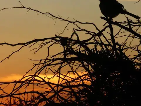 Chacra/Hostería/Terreno en venta en Carpintería San Luis. Oportunidad 